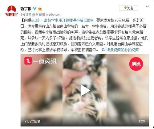 牙签最新爆料视频大全集,揭秘幕后真相，热点事件全解析  第2张