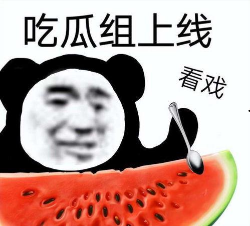 娱乐吃瓜酱怼亲戚,揭秘家庭欢乐背后的真相  第2张