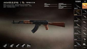 和平精英新武器最新爆料,神秘性能引发热议,玩家期待度飙升! 第2张 和平精英新武器最新爆料,神秘性能引发热议,玩家期待度飙升! 第2张